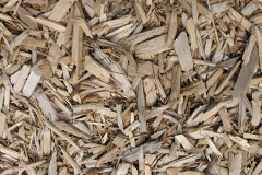 biomass boilers Mynytho